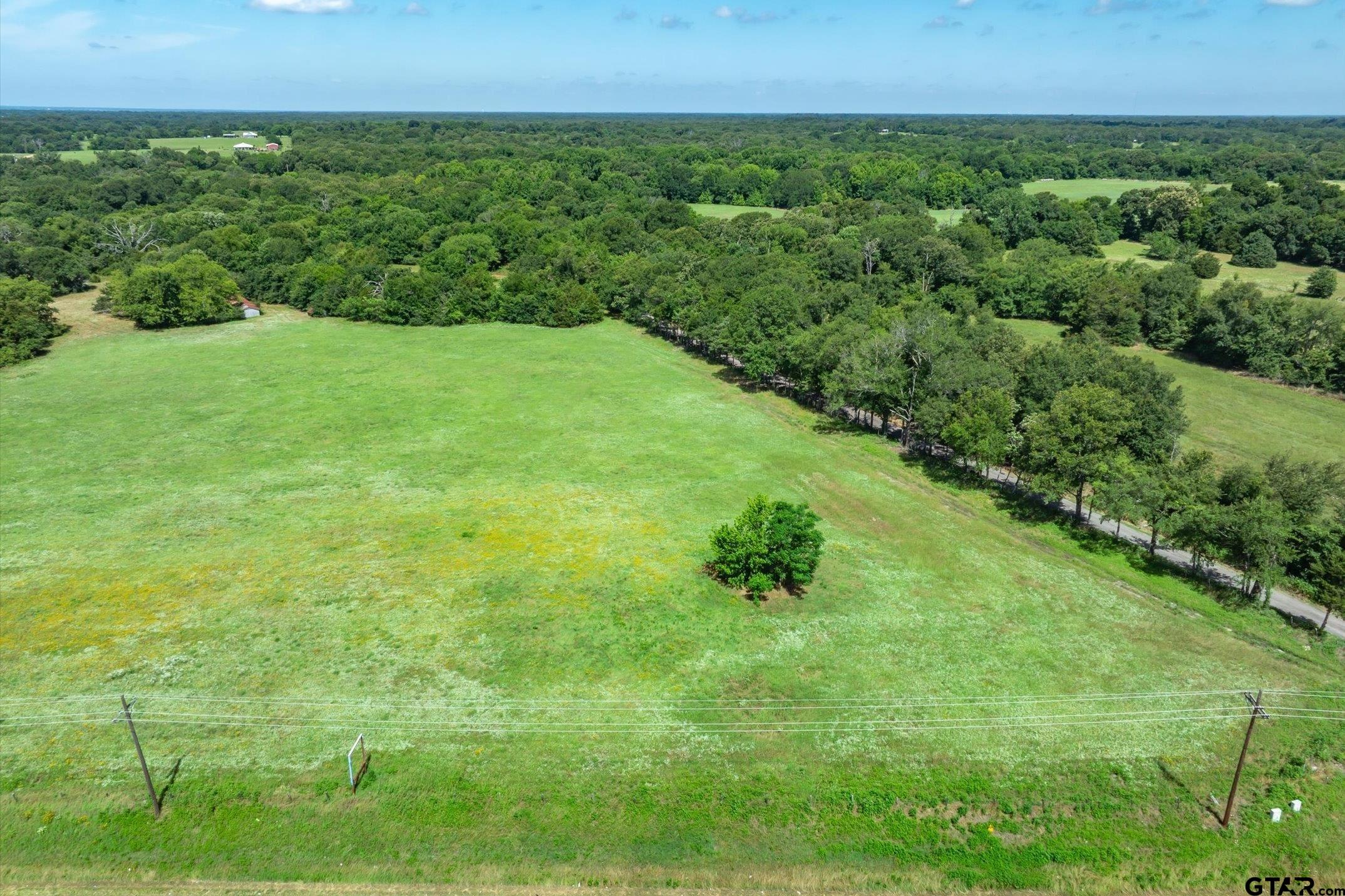 Lot 1 State Highway 19 & Rs Cr 1150 Property Photo 14