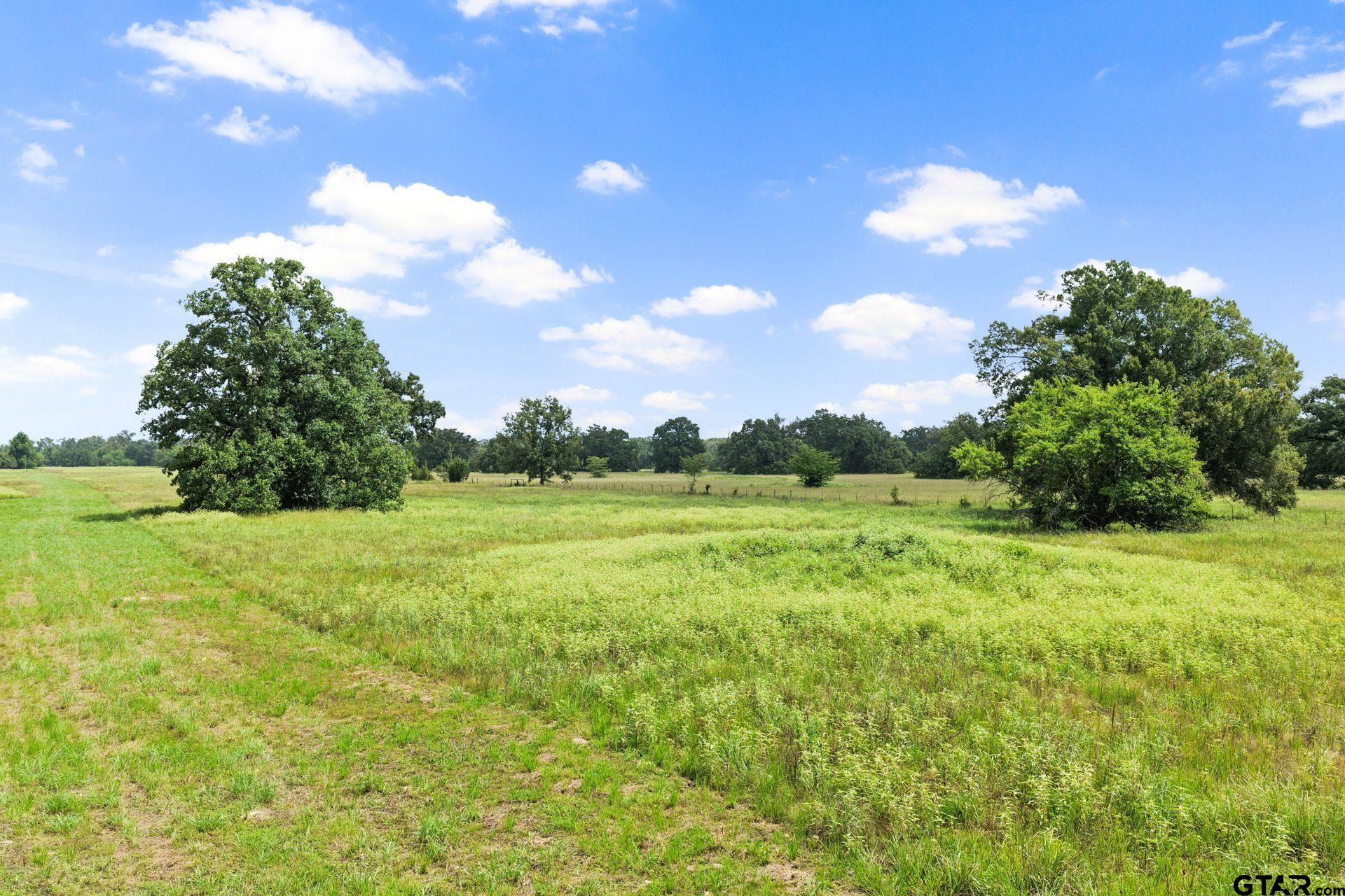 495 Ne County Road 2220 Property Photo 5