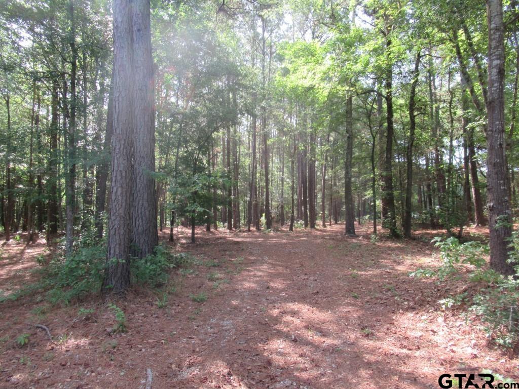 16.12 Ac Fm 757 Property Photo 3