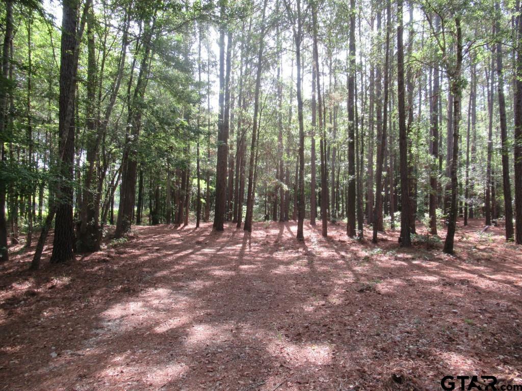16.12 Ac Fm 757 Property Photo 4