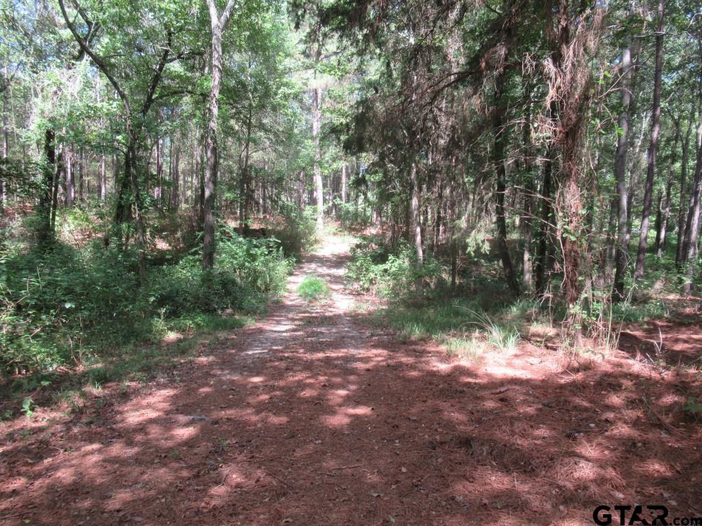 16.12 Ac Fm 757 Property Photo 5