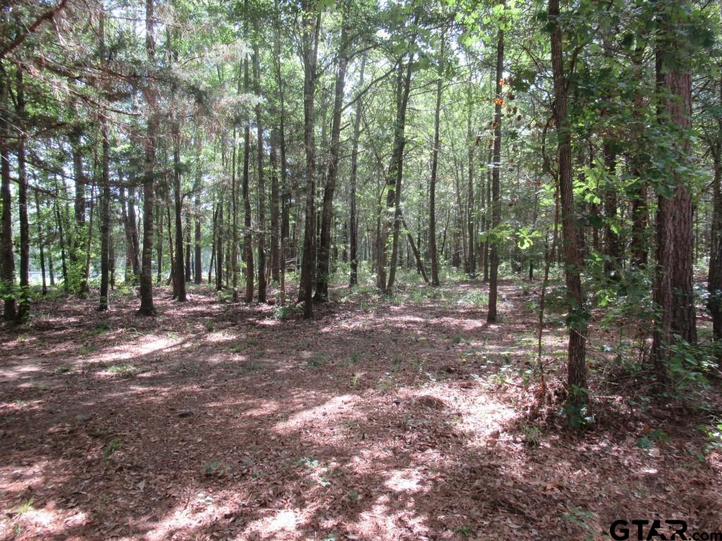 16.12 Ac Fm 757 Property Photo 6