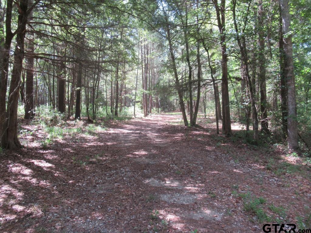 16.12 Ac Fm 757 Property Photo 7