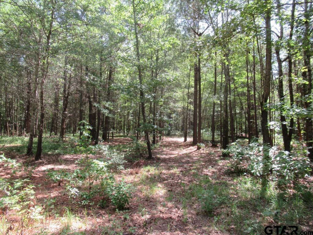 16.12 Ac Fm 757 Property Photo 8
