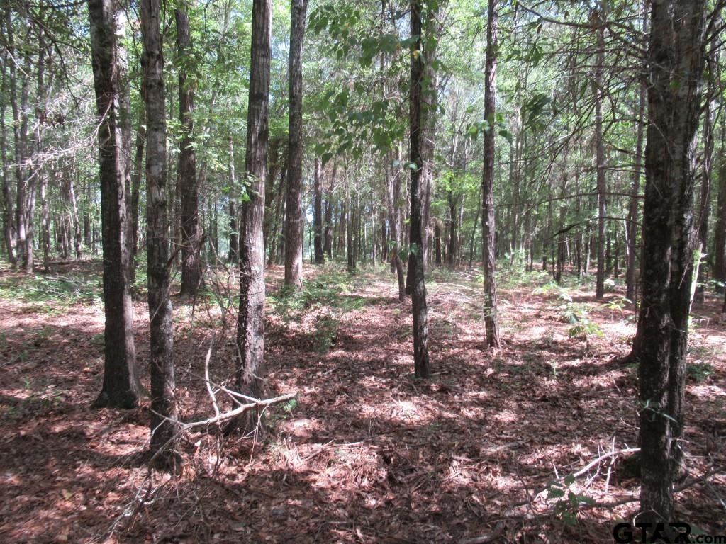 16.12 Ac Fm 757 Property Photo 9