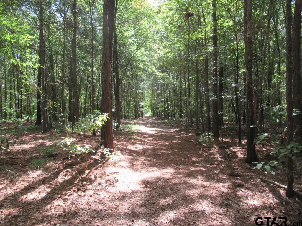 16.12 Ac Fm 757 Property Photo 10