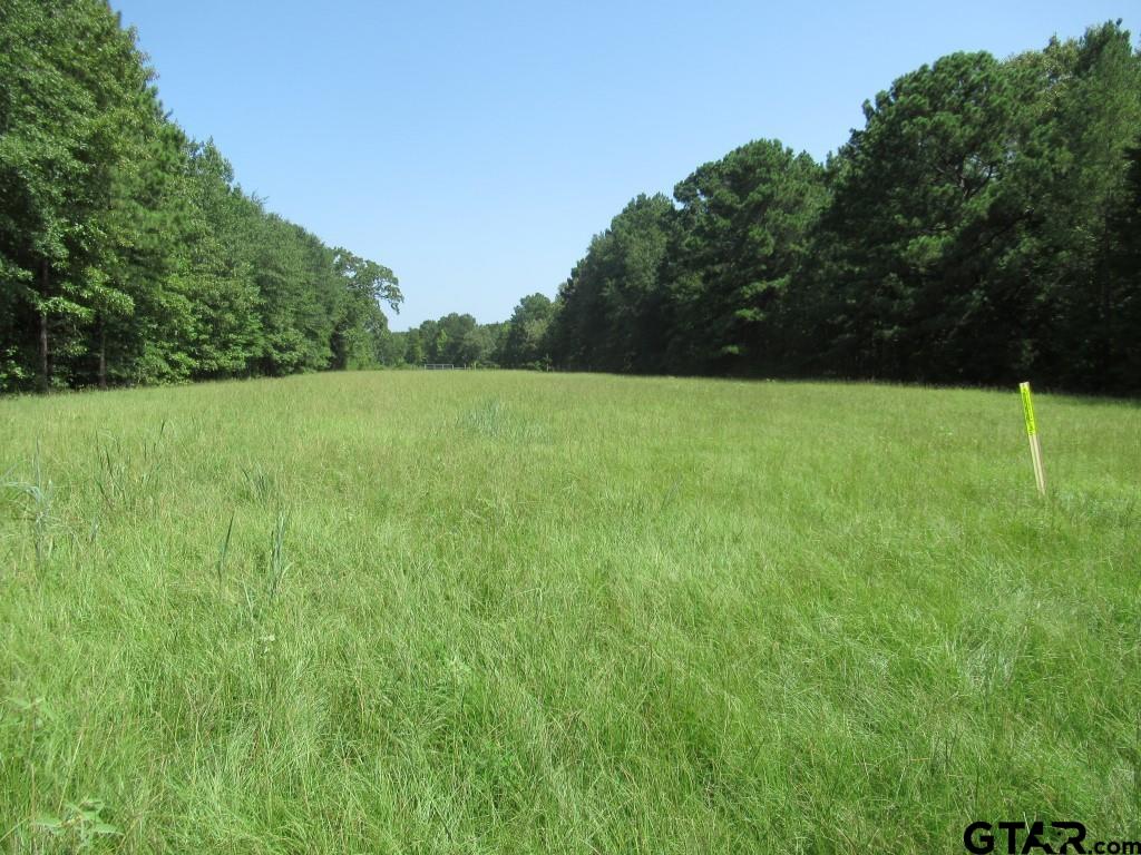 16.12 Ac Fm 757 Property Photo 11