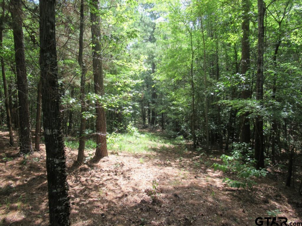 16.12 Ac Fm 757 Property Photo 12
