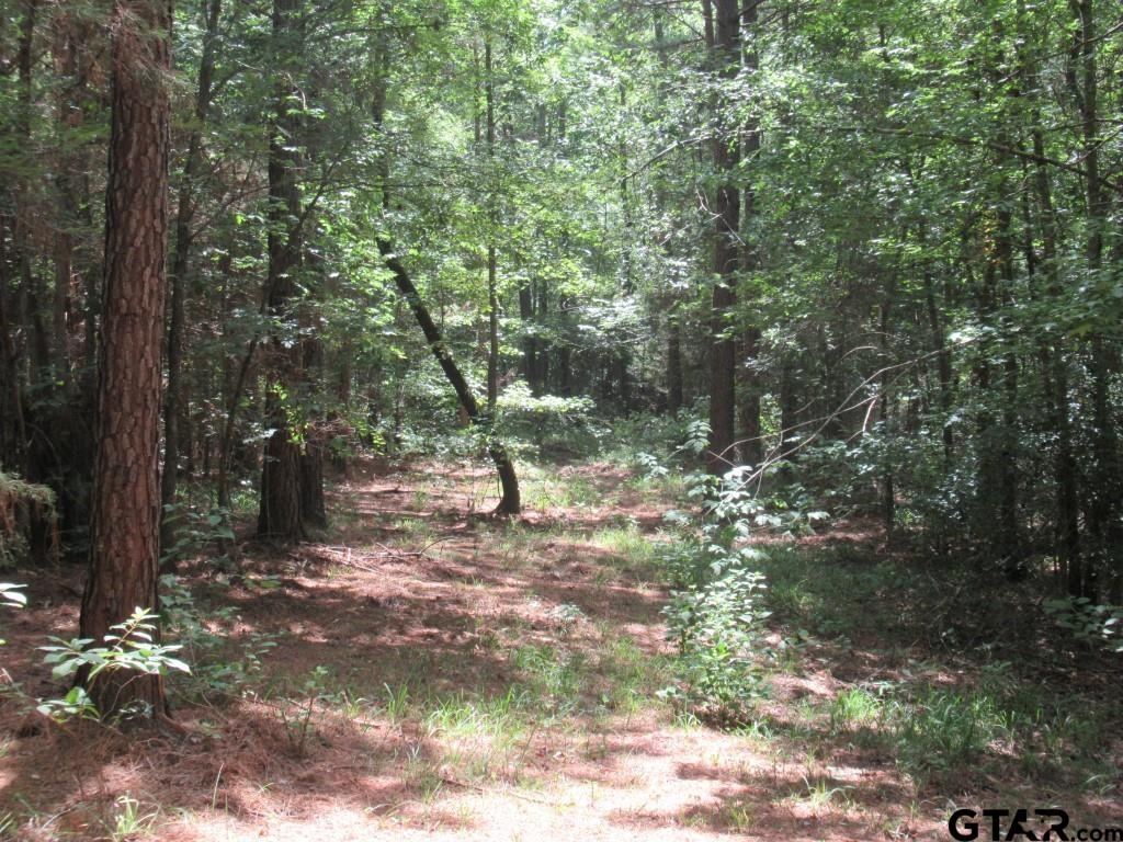 16.12 Ac Fm 757 Property Photo 13