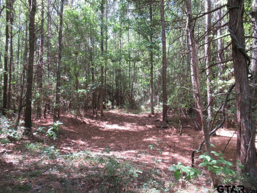 16.12 Ac Fm 757 Property Photo 14