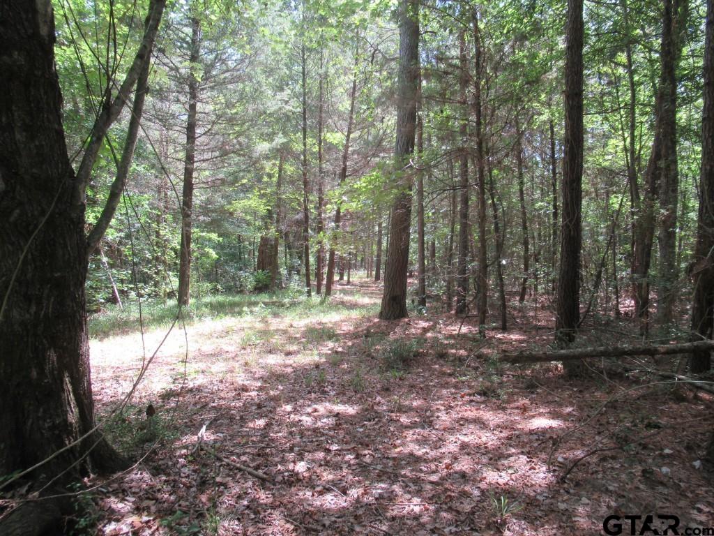 16.12 Ac Fm 757 Property Photo 15