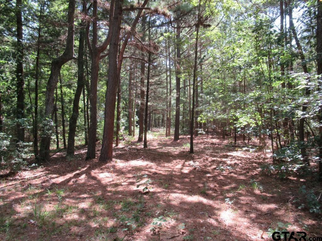 16.12 Ac Fm 757 Property Photo 16