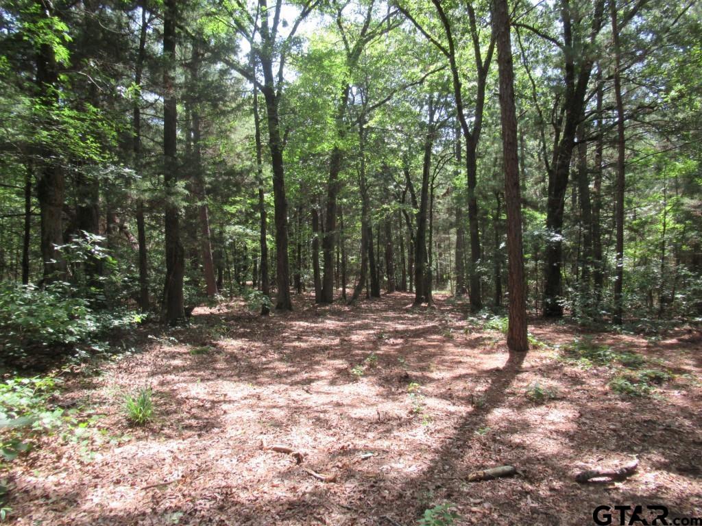 16.12 Ac Fm 757 Property Photo 17