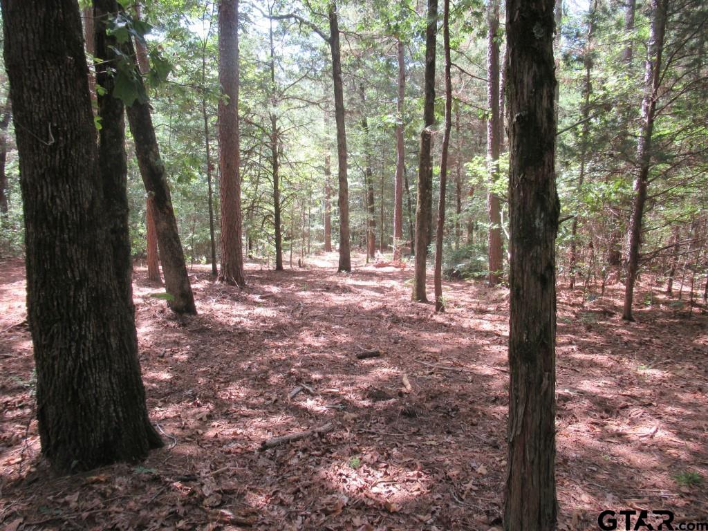 16.12 Ac Fm 757 Property Photo 18