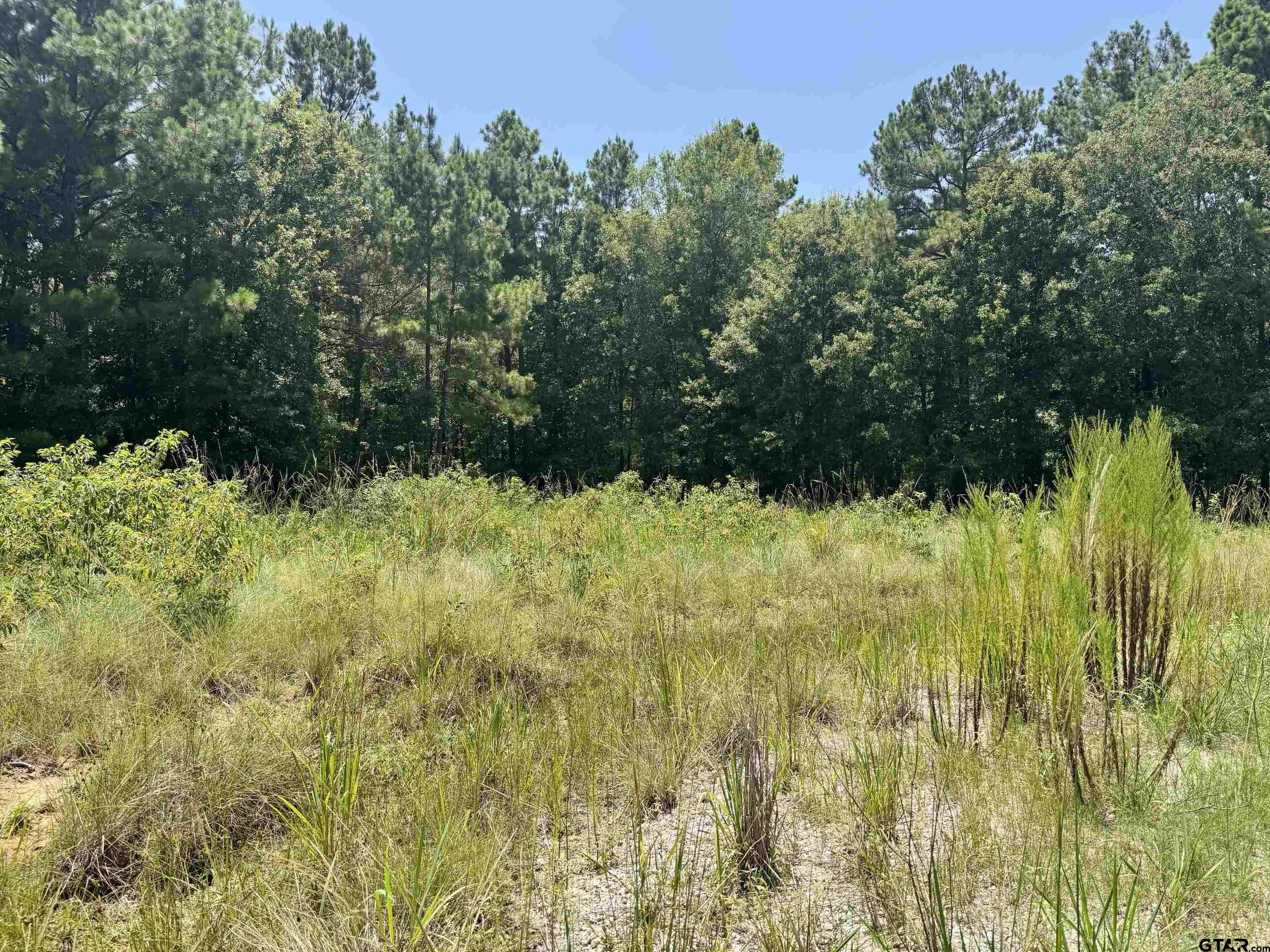 Tract 27 Fox Hollow Court Property Photo 12
