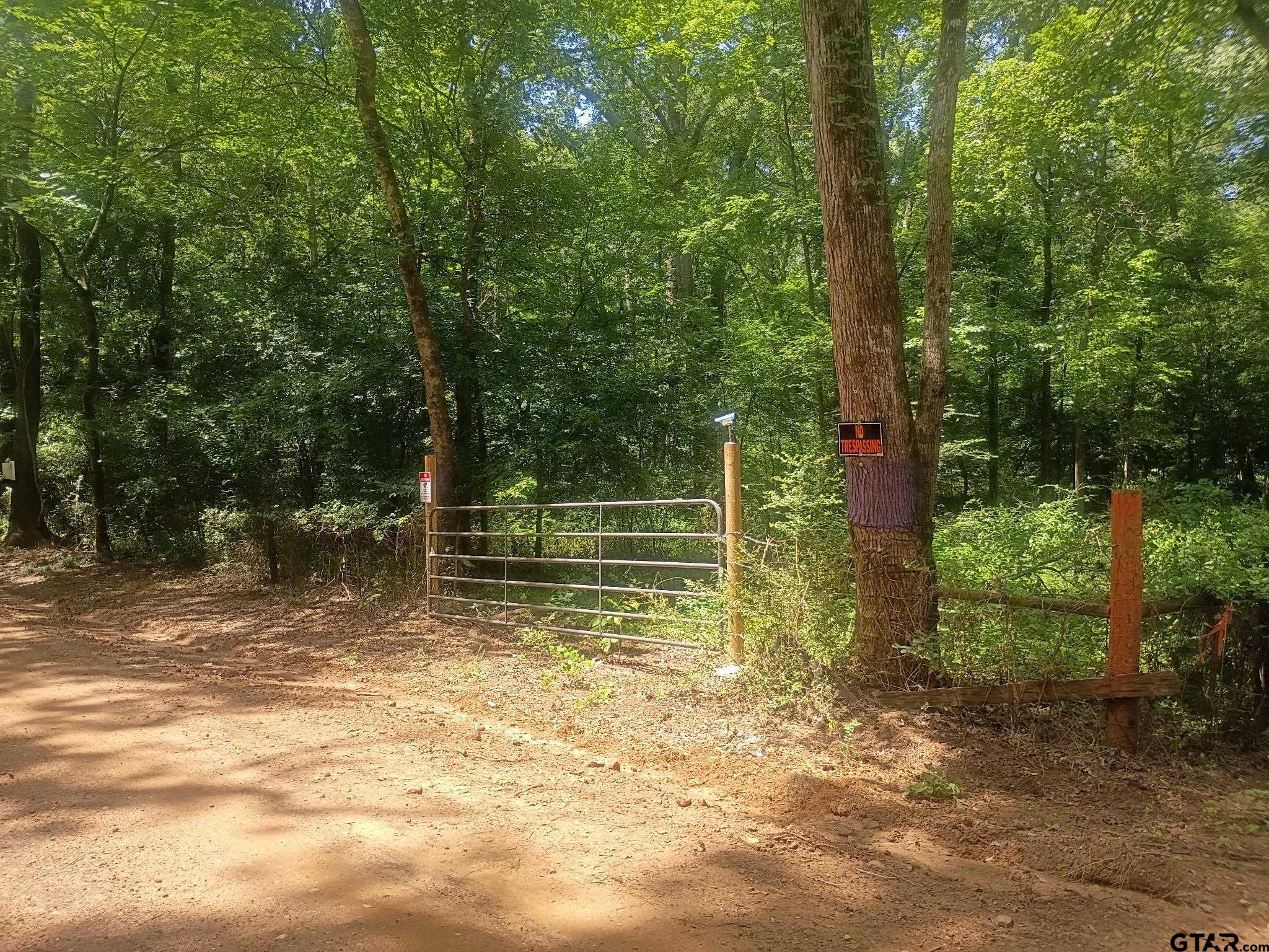 Tbd County Road 1708 Property Photo 1
