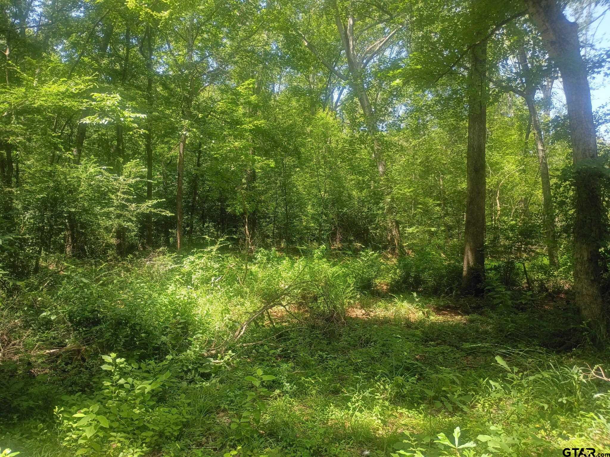 Tbd County Road 1708 Property Photo 2