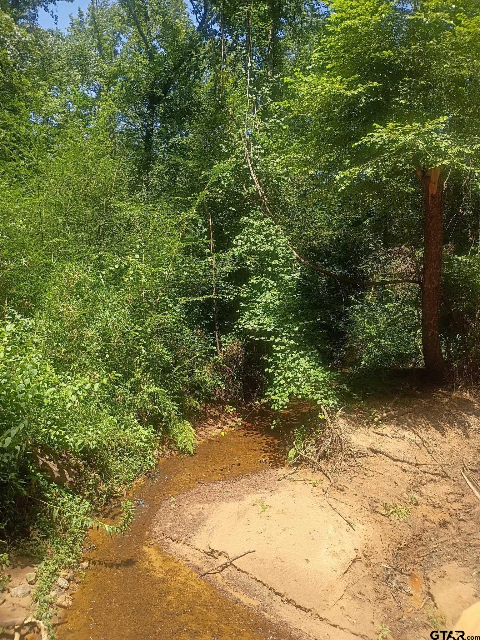 Tbd County Road 1708 Property Photo 5