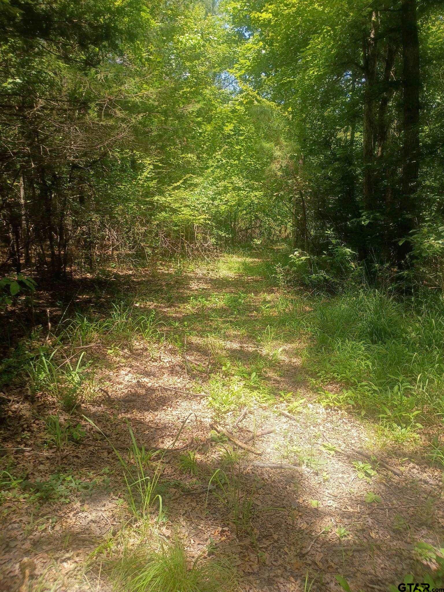 Tbd County Road 1708 Property Photo 9