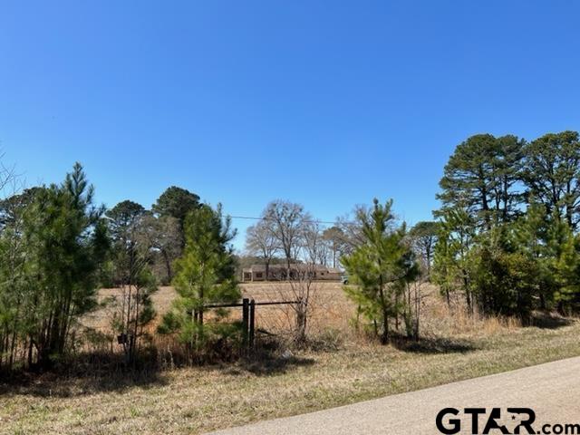 405 Acres Off Watson Rd Property Photo 6