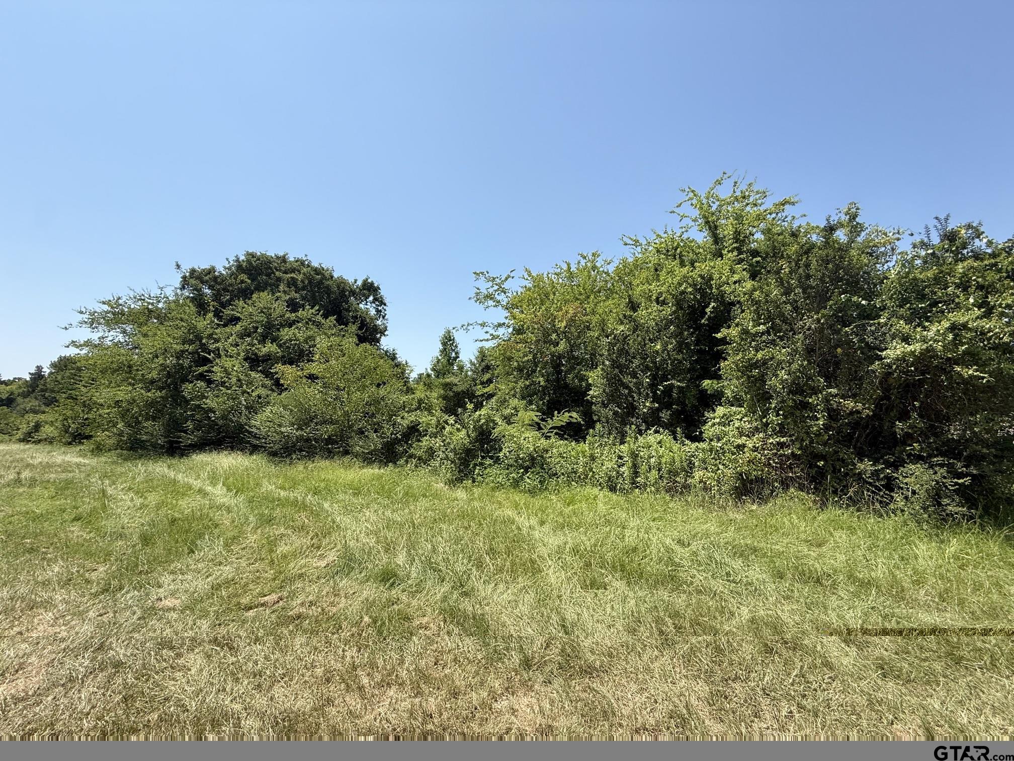 TBD FM 2152 Property Photo 1