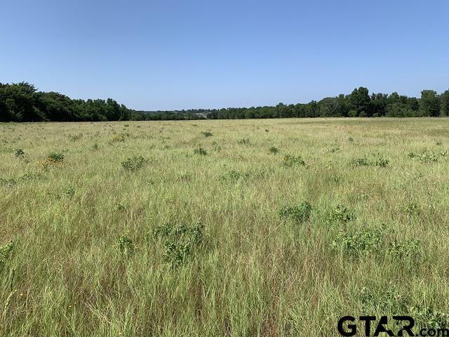 000 Cr 152 (lot 1) Property Photo 4