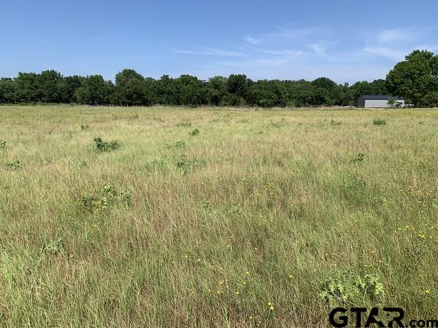 000 Cr 152 (lot 1) Property Photo 5