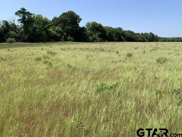 000 Cr 152 (lot 1) Property Photo 6