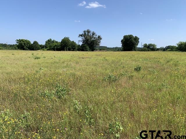 000 Cr 152 (lot 1) Property Photo 7