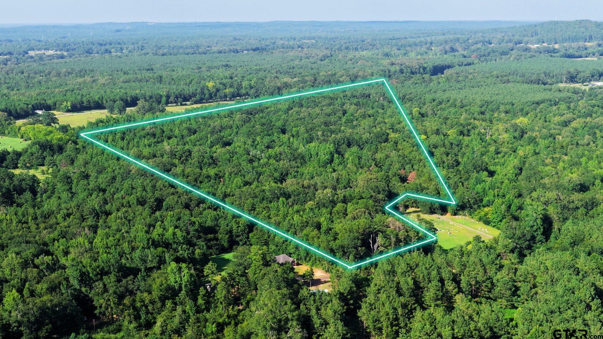 Tbd County Road 3201 Property Photo 2