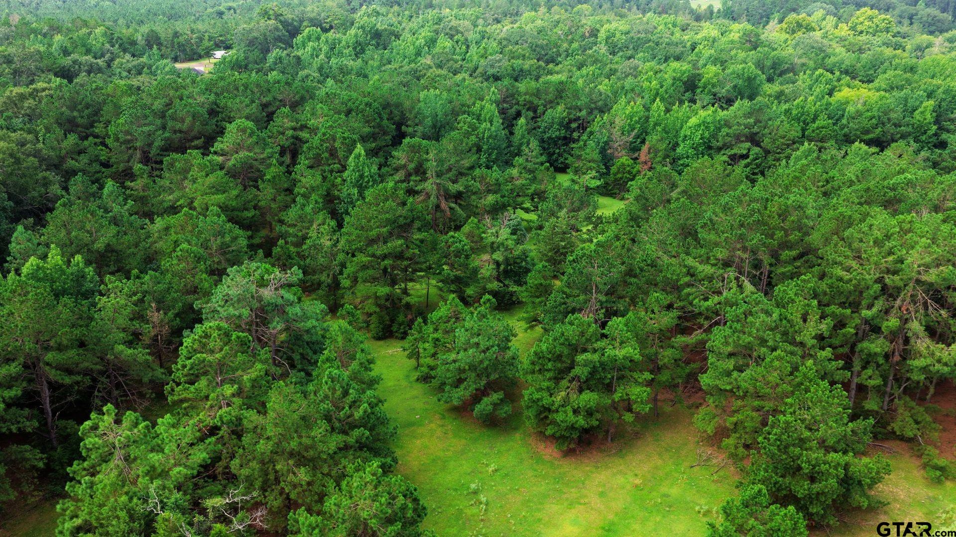 Tbd County Road 3201 Property Photo 7