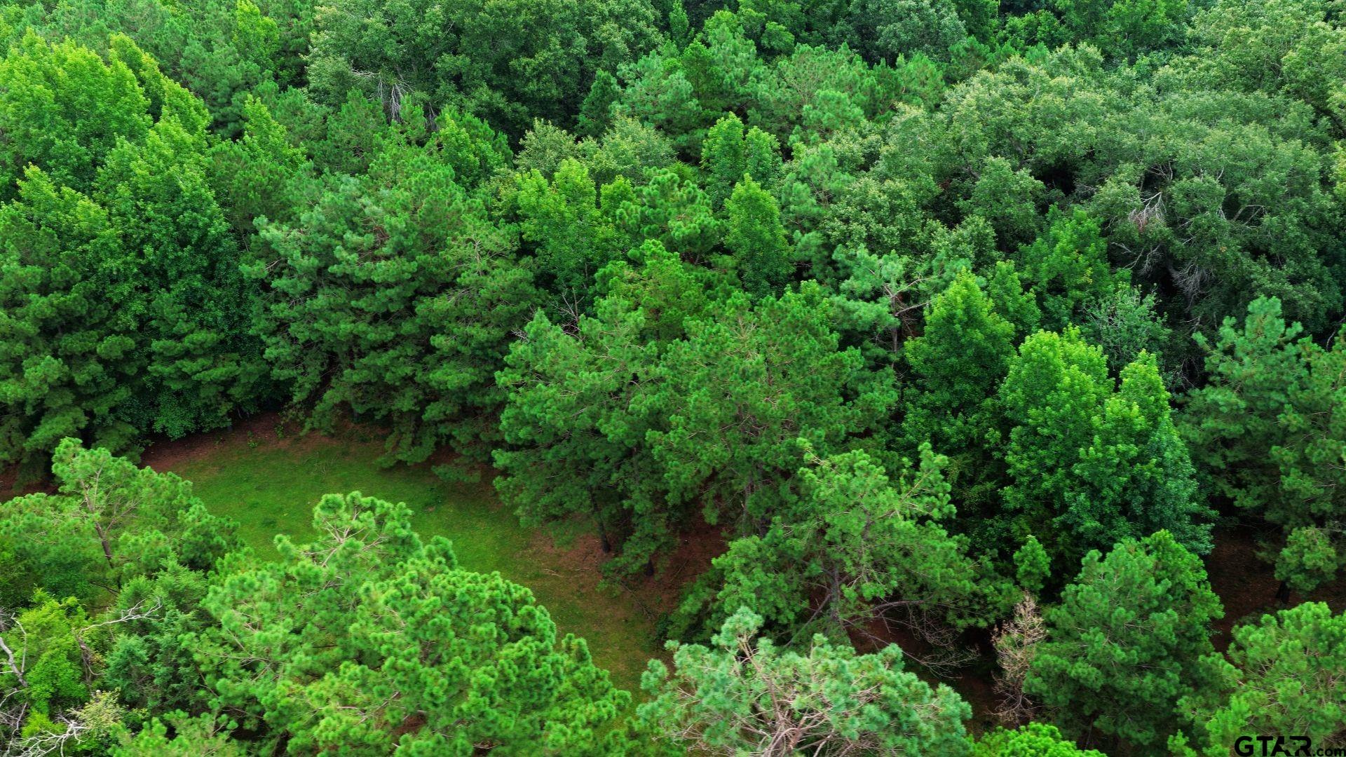 Tbd County Road 3201 Property Photo 8