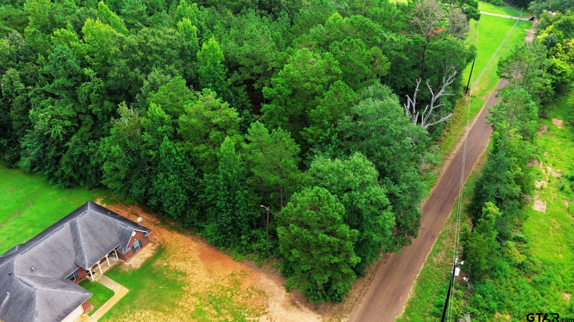 Tbd County Road 3201 Property Photo 12