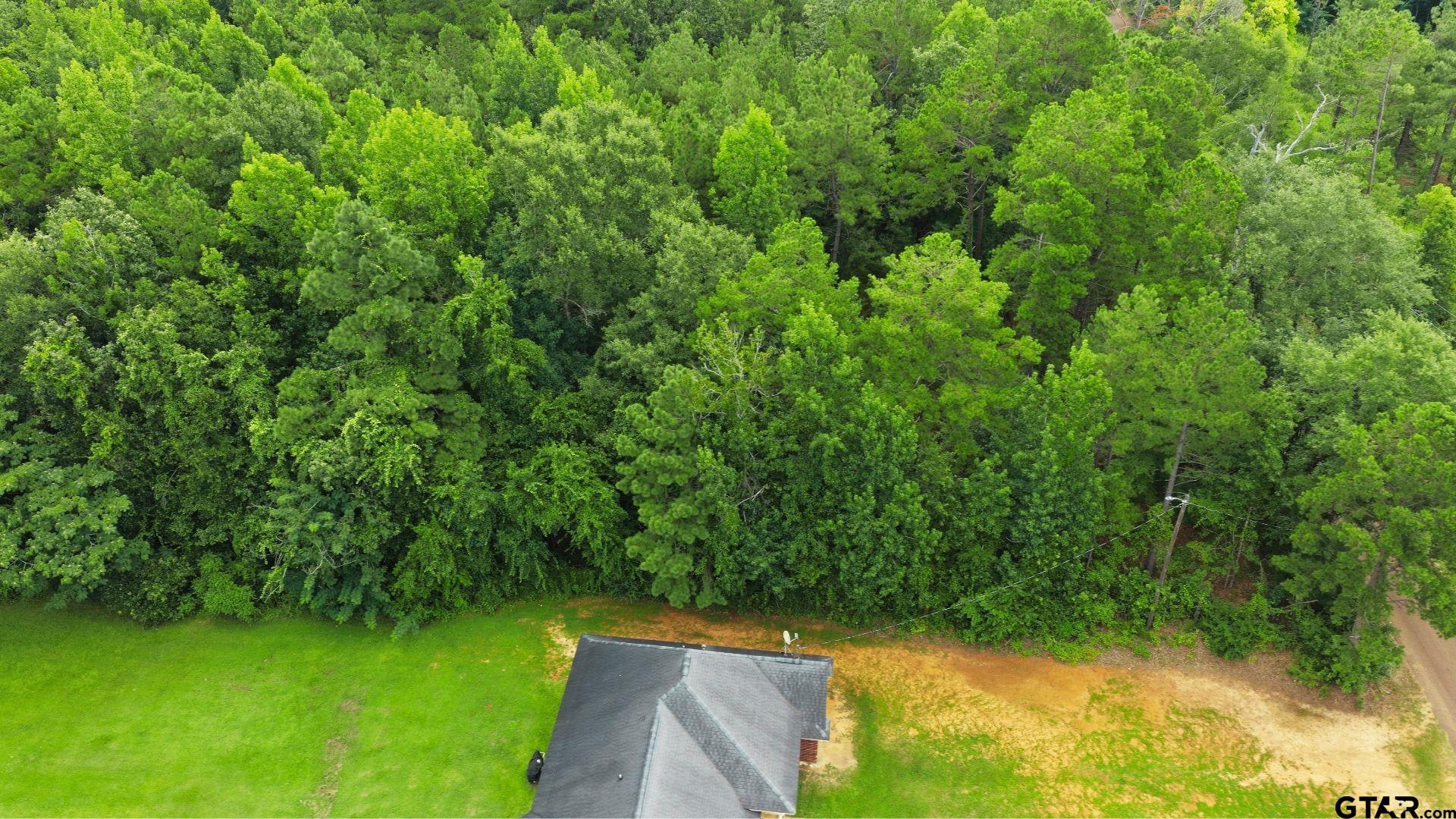 Tbd County Road 3201 Property Photo 13
