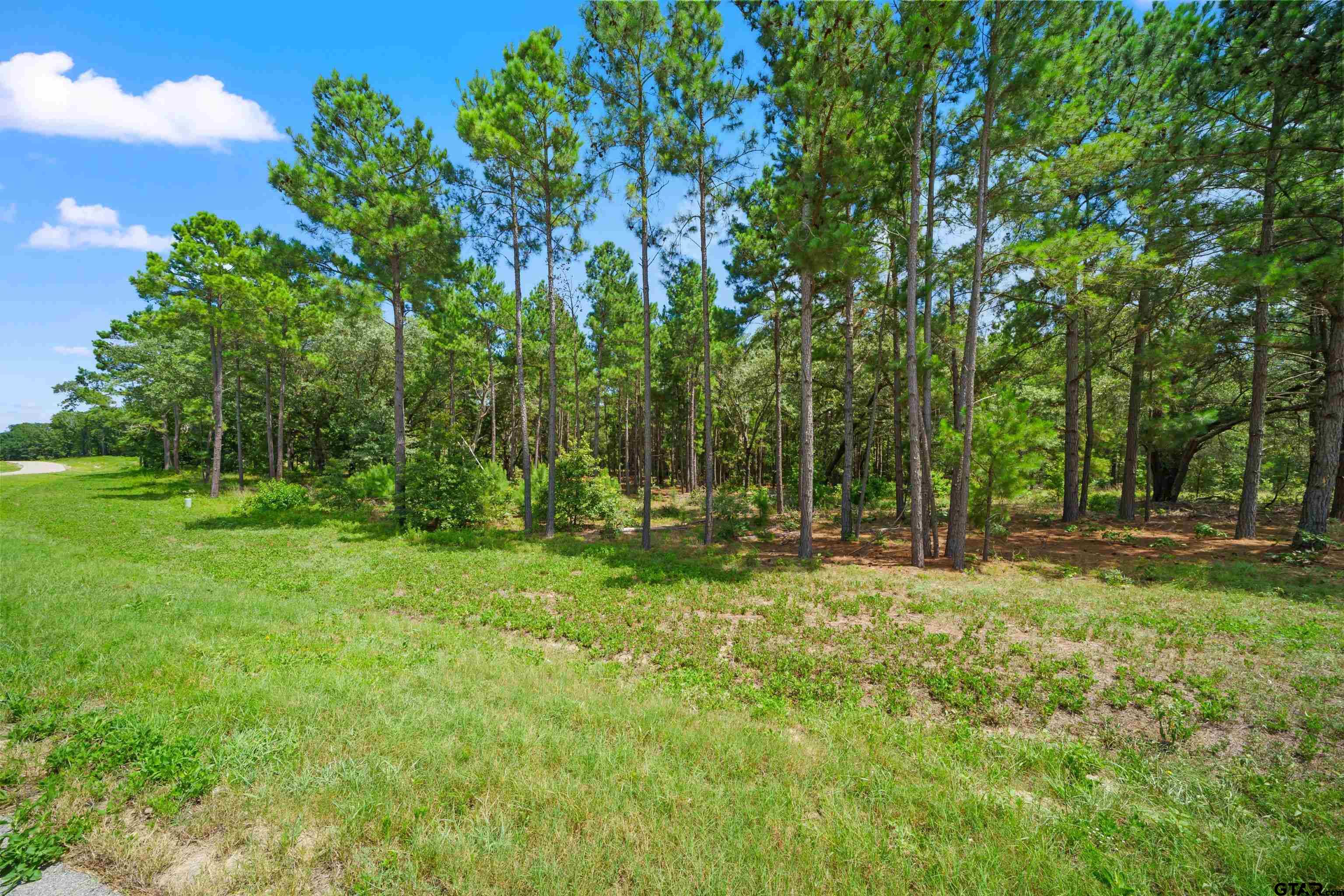 3195 Shadow Pine Drive Property Photo 4