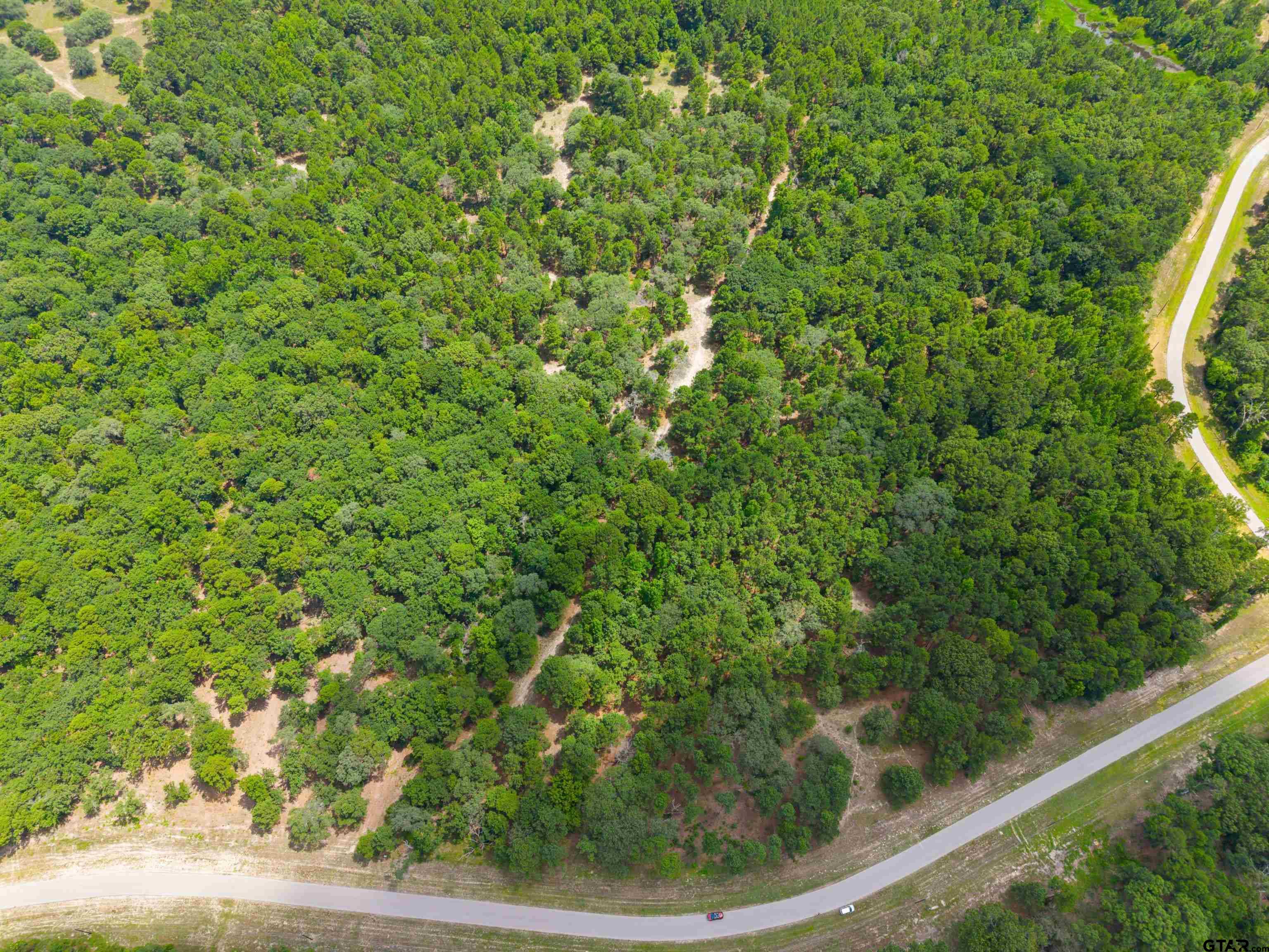 3195 Shadow Pine Drive Property Photo 7