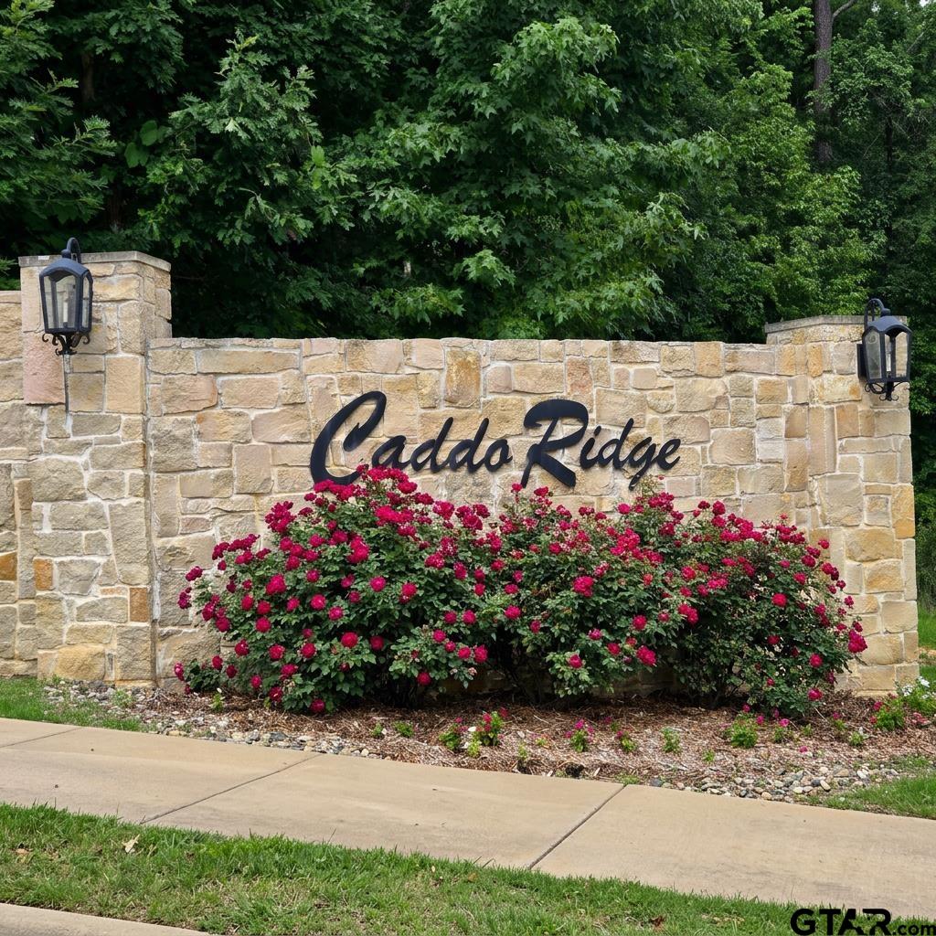 747 Marsh Farm Road - Lot 16 Property Photo 1