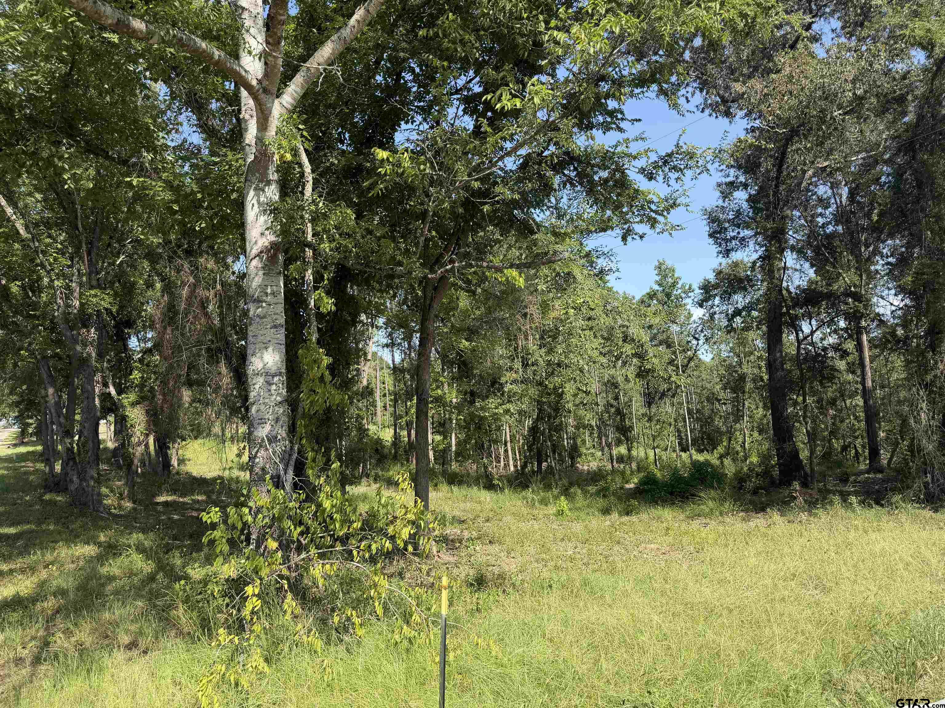 000 Cr 4218 15 Acre Property Photo 1