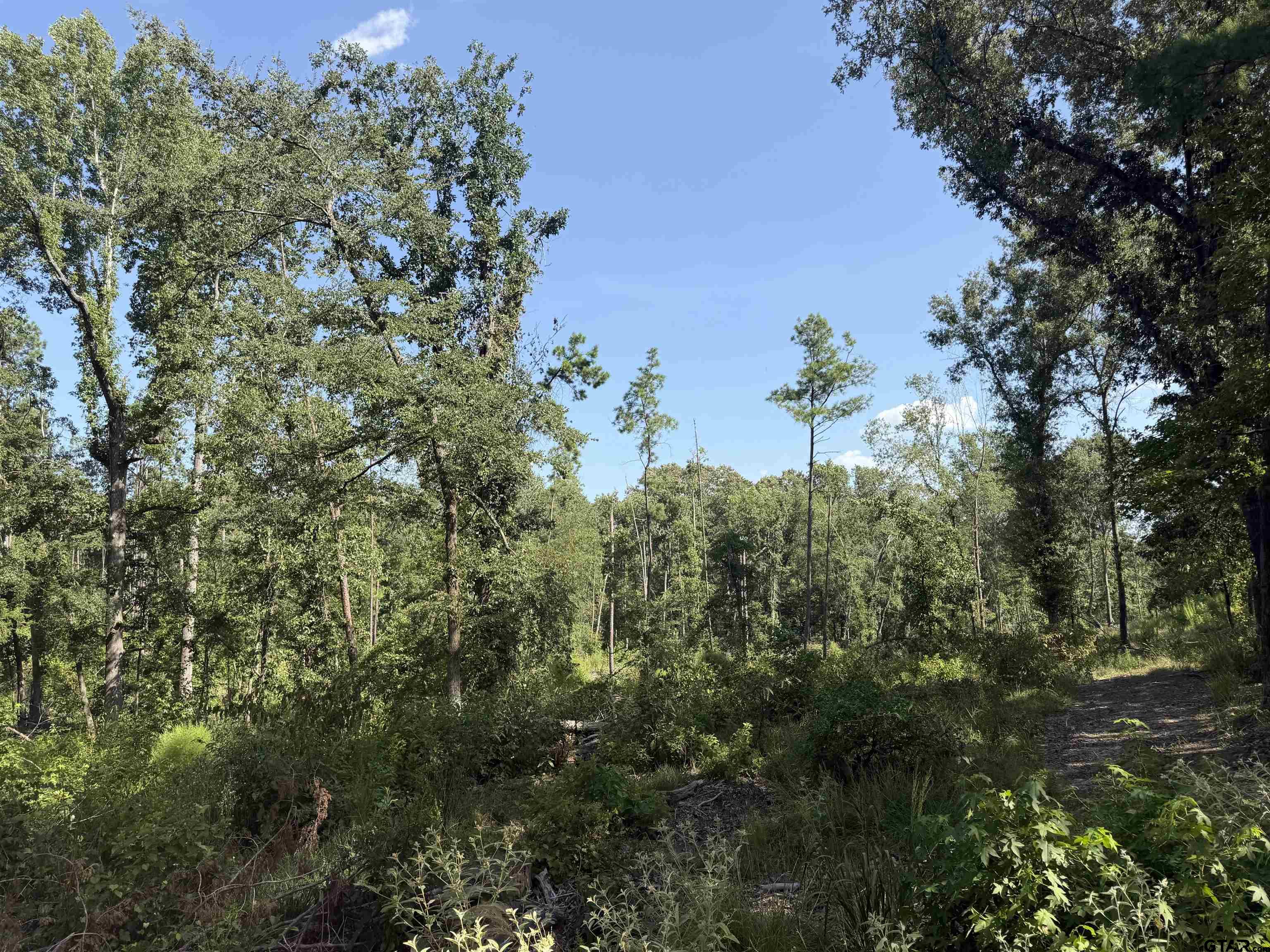 000 Cr 4218 15 Acre Property Photo 2