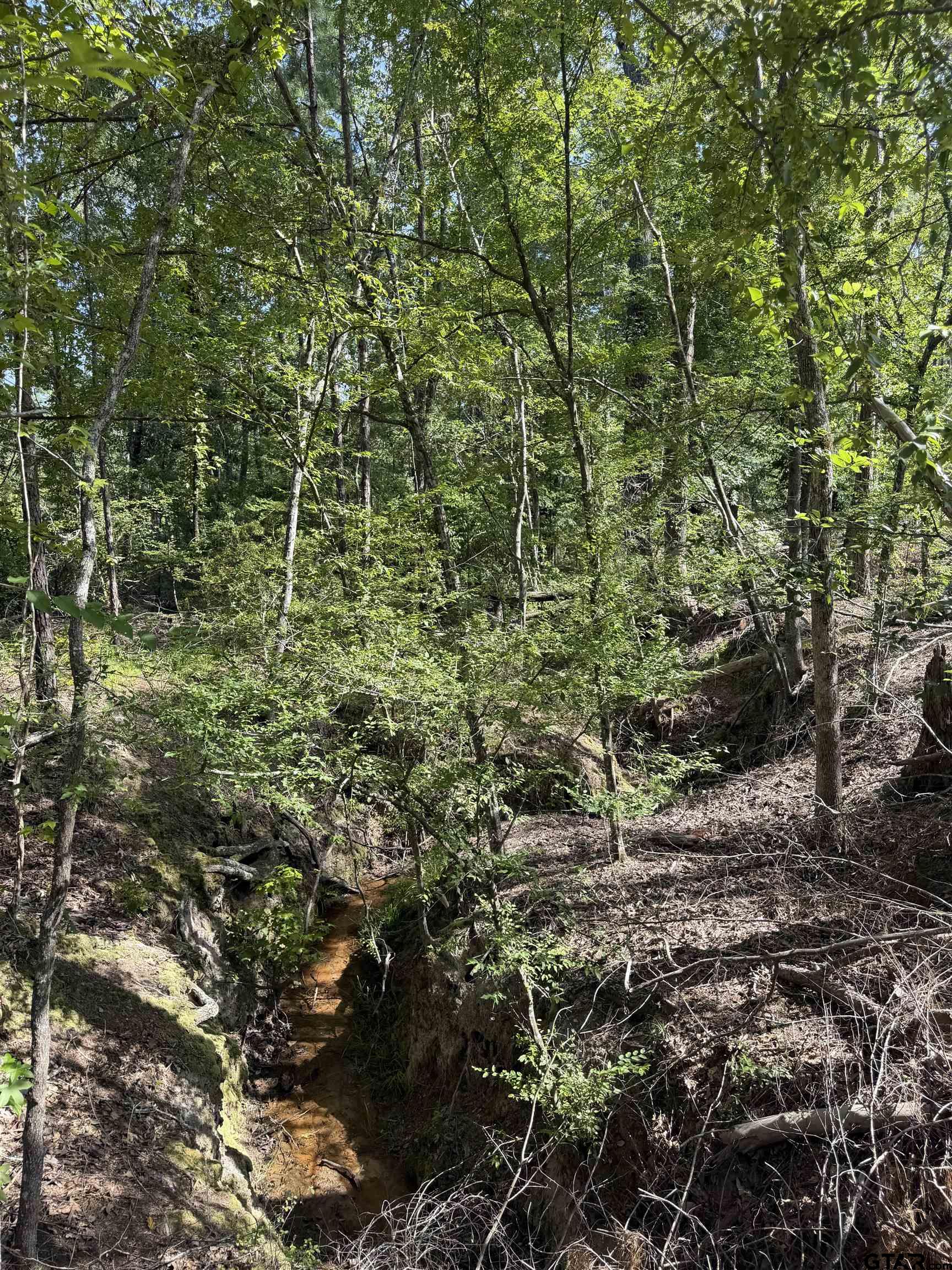 000 Cr 4218 15 Acre Property Photo 4