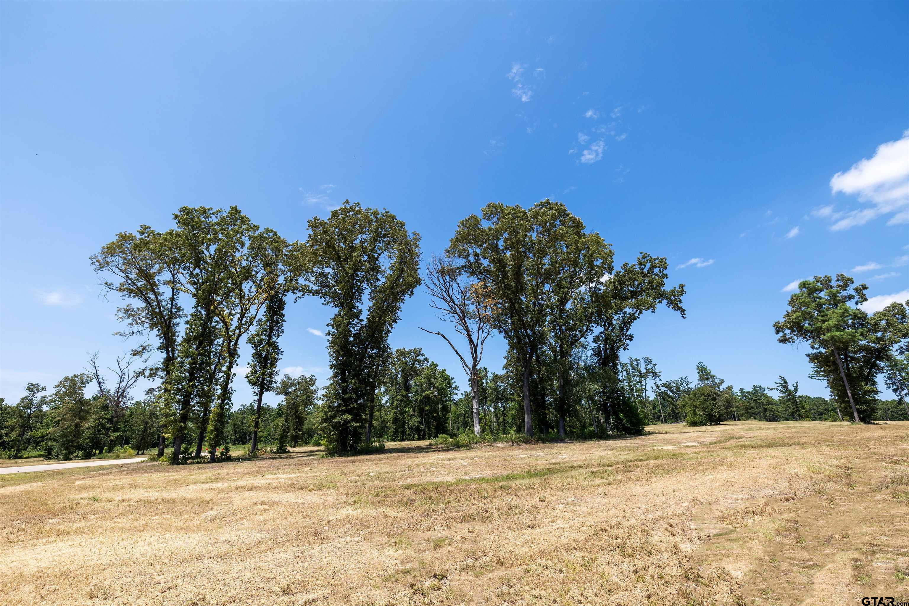 15640 Aniston Ln - (lot 25) Property Photo 1