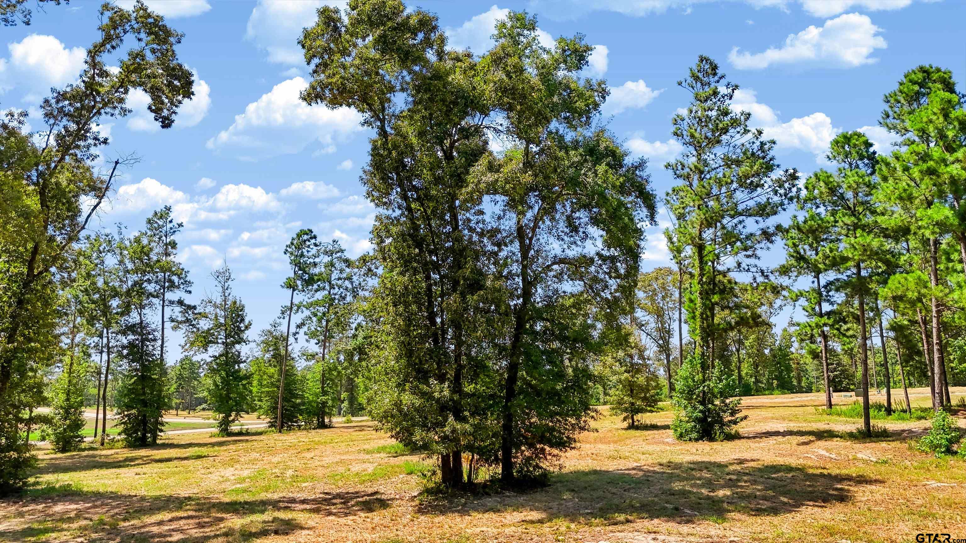 15640 Aniston Ln - (lot 25) Property Photo 39