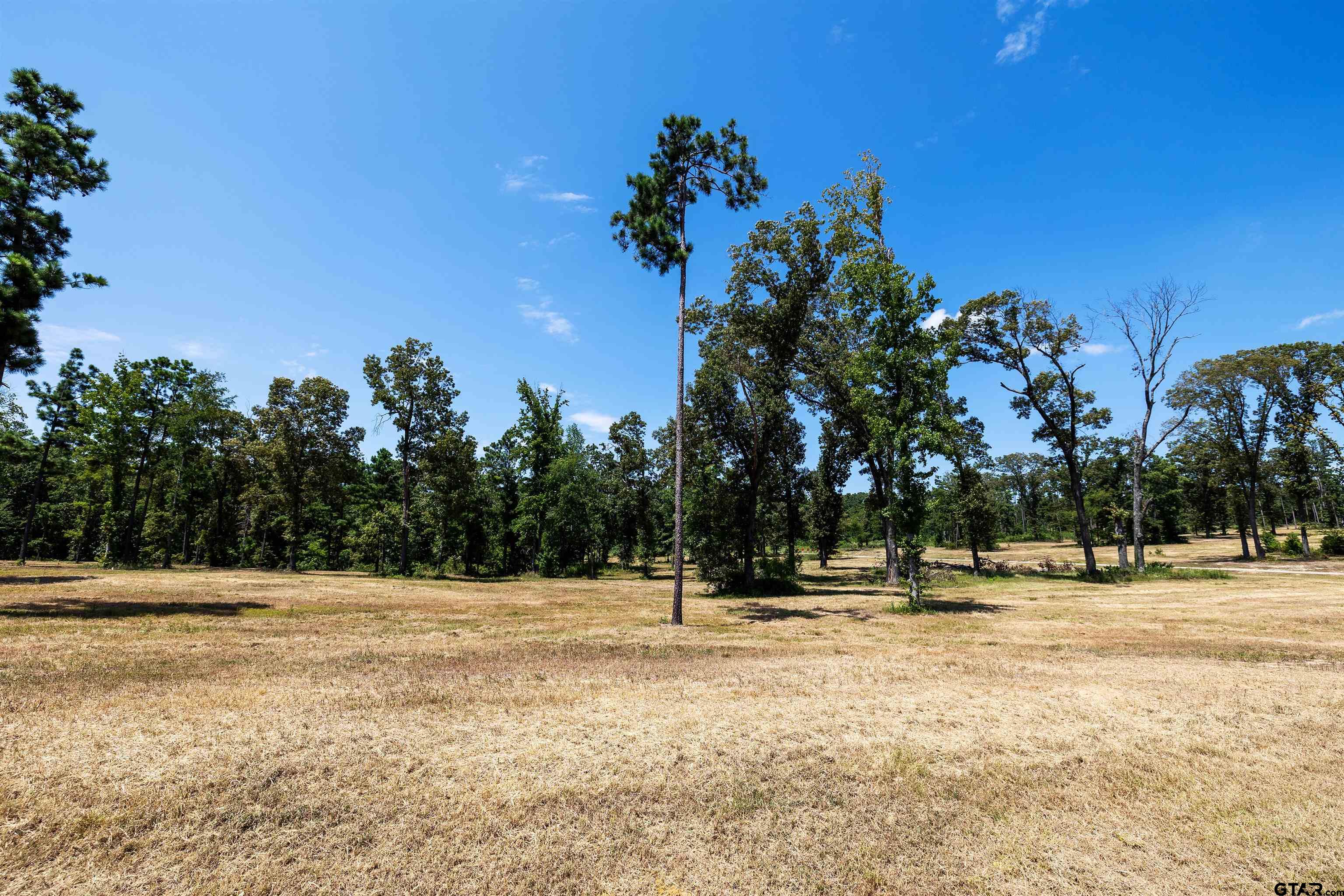 15702 Aniston Ln - (lot 24) Property Photo 1