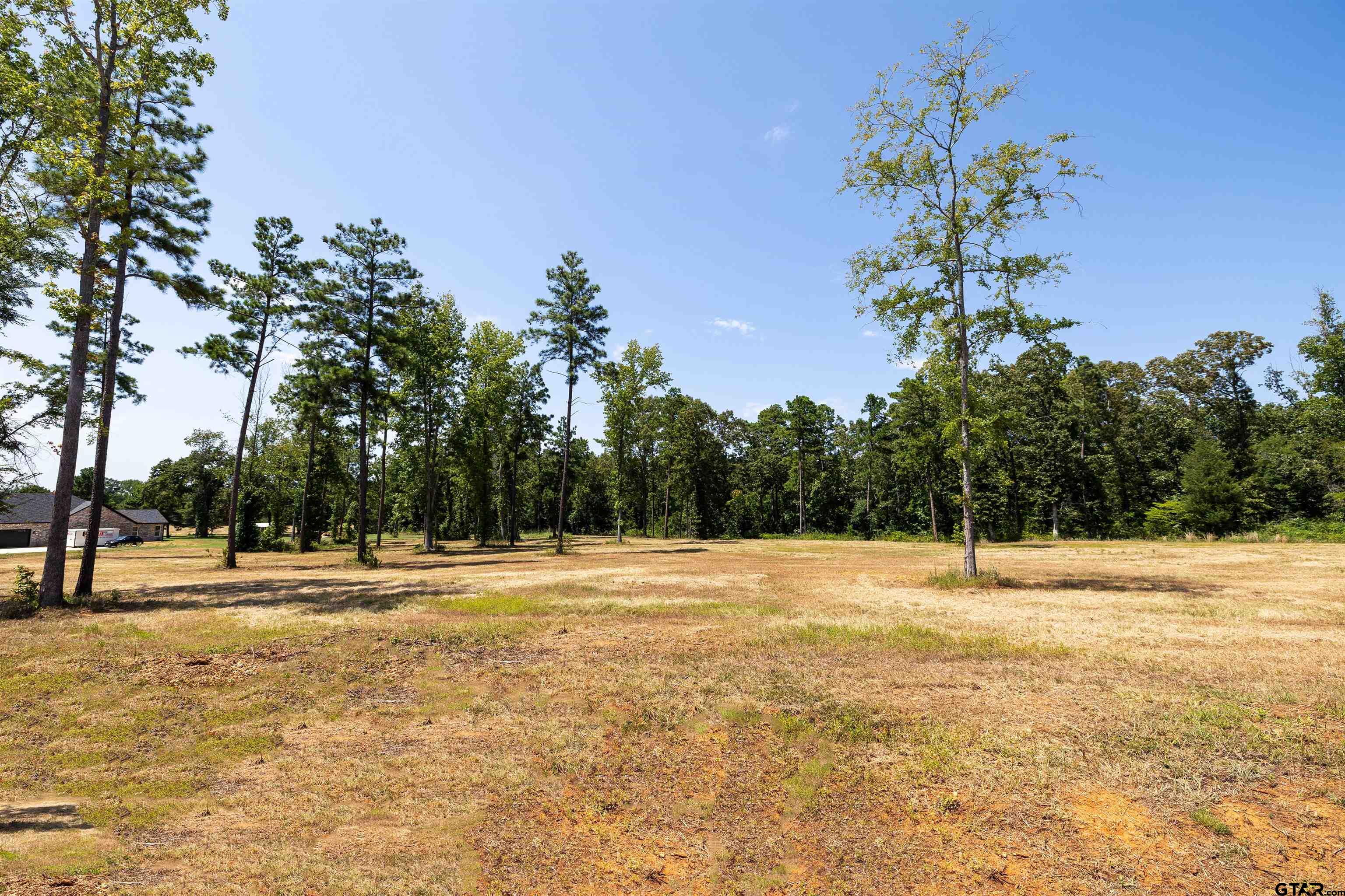 15922 Aniston Ln - (lot 20) Property Photo 2