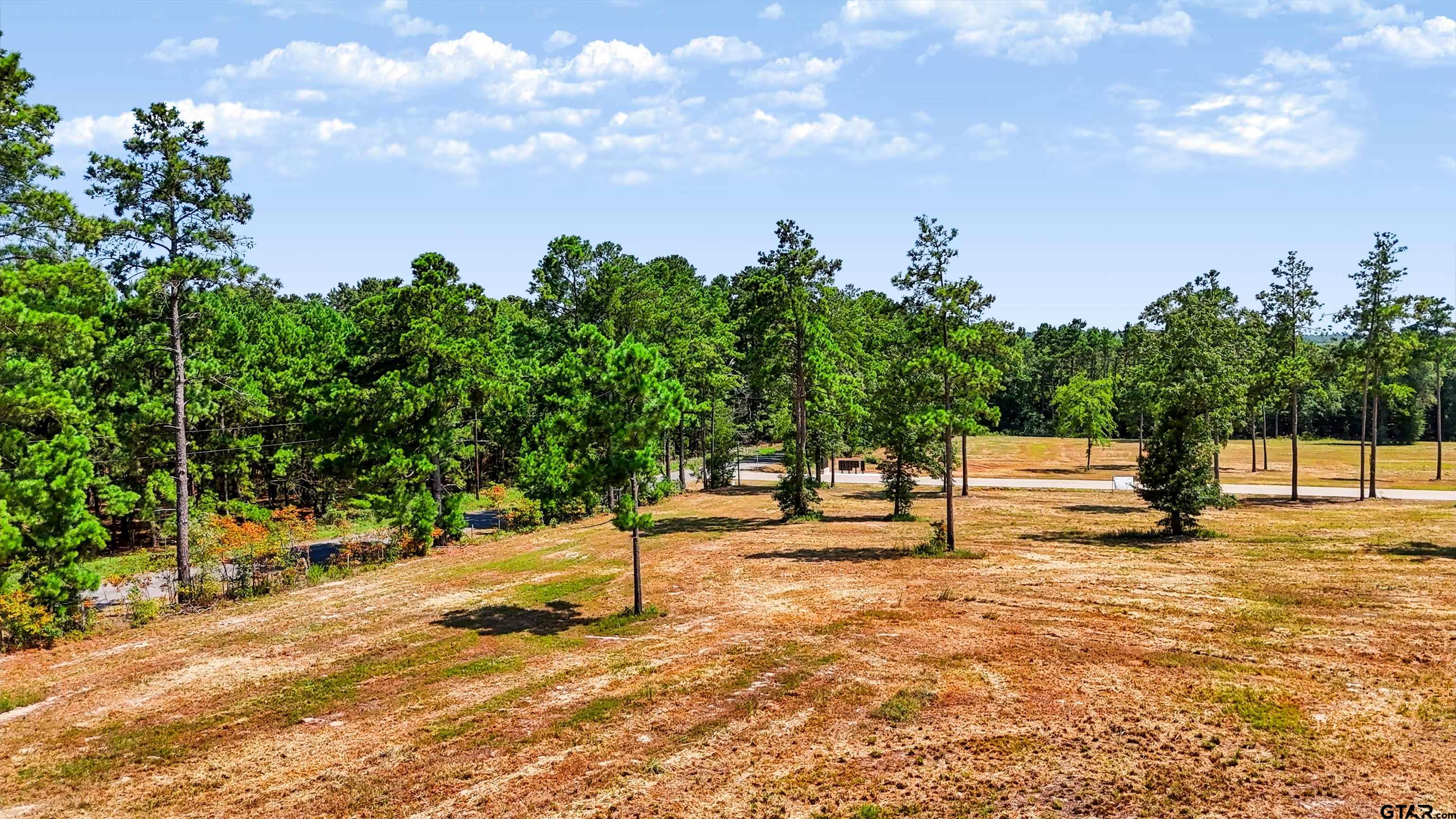 15922 Aniston Ln - (lot 20) Property Photo 24