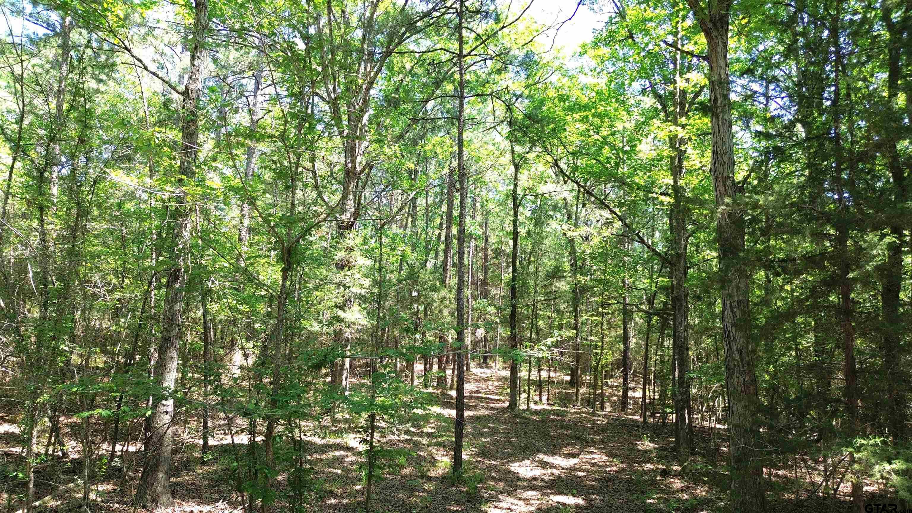 Tbd Cr 4720 Property Photo 1