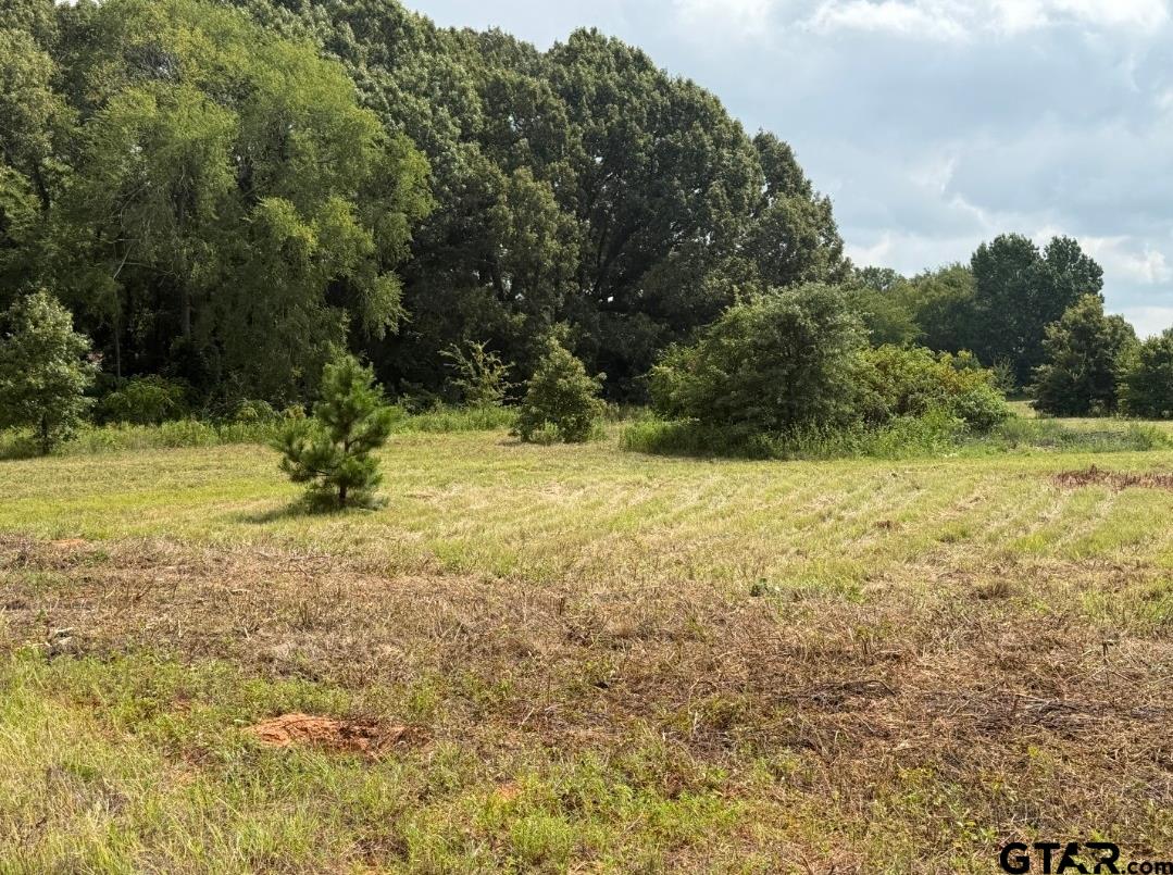 E Fm 431 Property Photo 2