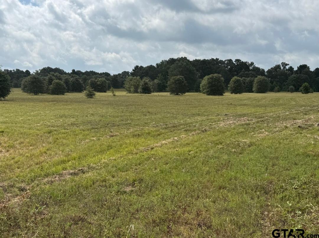 E Fm 431 Property Photo 4