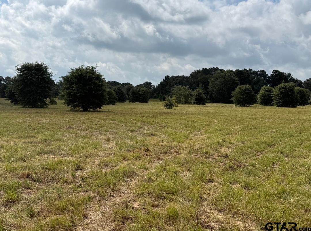 E Fm 431 Property Photo 5