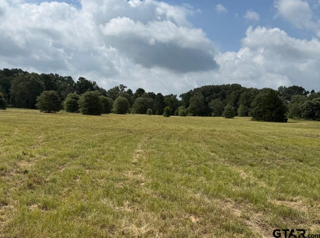 E Fm 431 Property Photo 6
